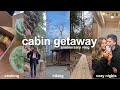 Anniversary cabin vlog  hiking cooking  cozy nights in