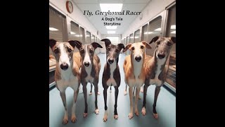 Fly, Greyhound Racer  Chapter 5  Training #greyhounds #storytime #funnyanimals