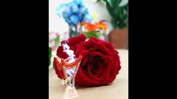 #ليلة_الجمعة #الجمعة #صلى_الله_عليه_وسلم #آيه #موعظه #احاديث #اسلاميات #تلاوات #خشوع #تلاوه #قرآن