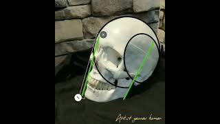 Andrew loomis technique on skull #shorts 💀🎨 Andrew loomis technique on skull #shorts 💀🎨
