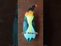 DIY Penguin from waste wood..#shorts #craft #creative #colors #penguins #wastematerialcraft