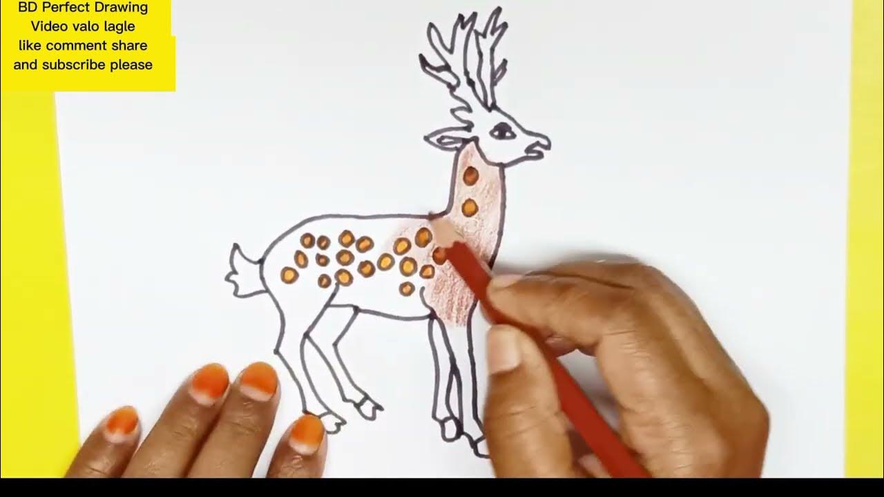 how to draw a deer draw a deer draw deer হরিণ আঁকা easy drawing