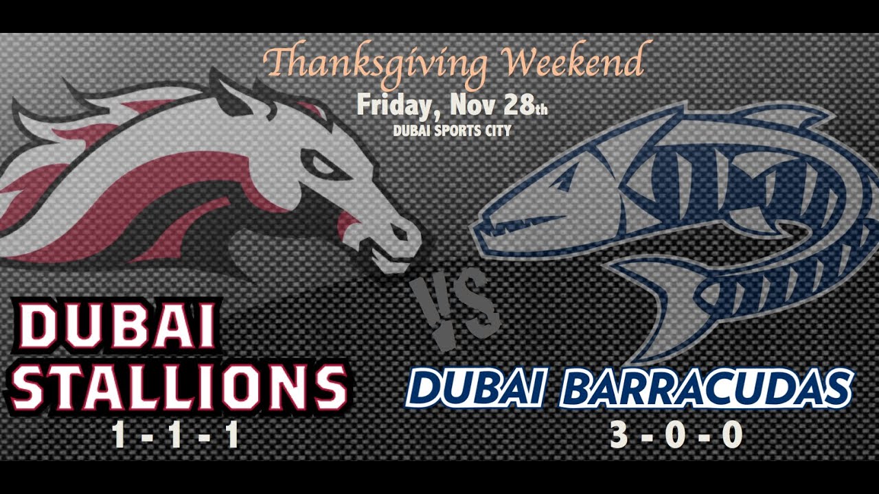 WEEK 06 - Dubai Stallions vs Dubai Barracudas