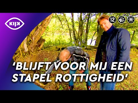 Video: 11 Telltale-signalen dat u een hond van het type B bent