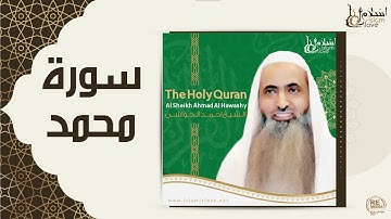 الشيخ احمد الحواشي - سورة محمد