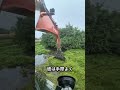 彼は水草をきれいに取り除いた😃