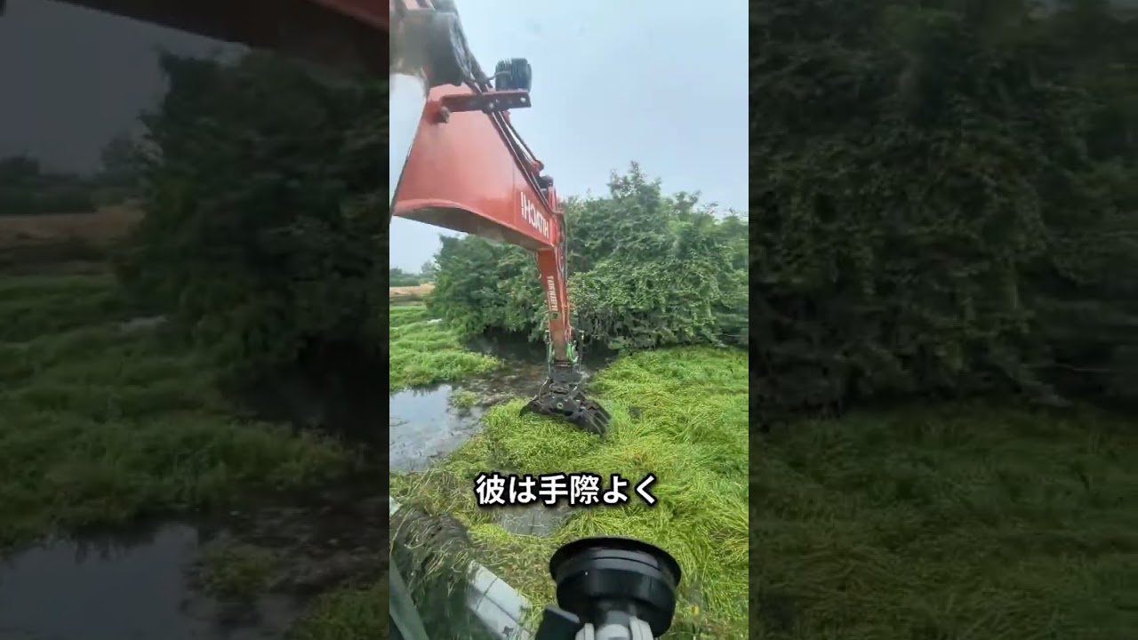 彼は水草をきれいに取り除いた😃