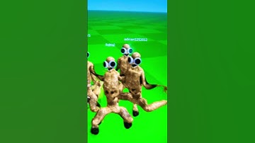 I believe I can fly #memes #roblox