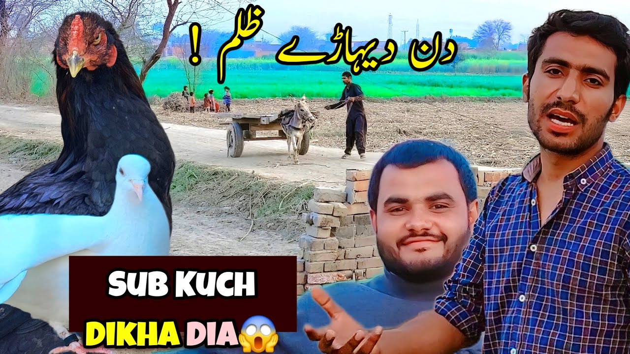 Sub Kuch Dikha Dia || Khobsorat Desi Rivaj || Ravi Dy Raath Vlogs