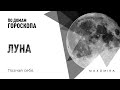 Познай себя. Луна в домах гороскопа. Ведическая Астрология. Max Omira.