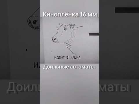 Доильные автоматы #ссср #трактор #automobile #кинокамера #сельскоехозяйство #пту #farming #история