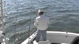 Trolling Light Tackle.mp4