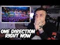 ONE DIRECTION LIVE! RIGHT NOW REACTION - San Siro Concert