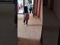 نازل وانا ماشي علي الشوك برجليا
