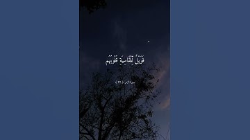 سورة الزمر( ٢٢ )🌷🤍💫