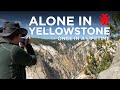 ALONE IN YELLOWSTONE NATIONAL PARK - A Once In A Lifetime Visit