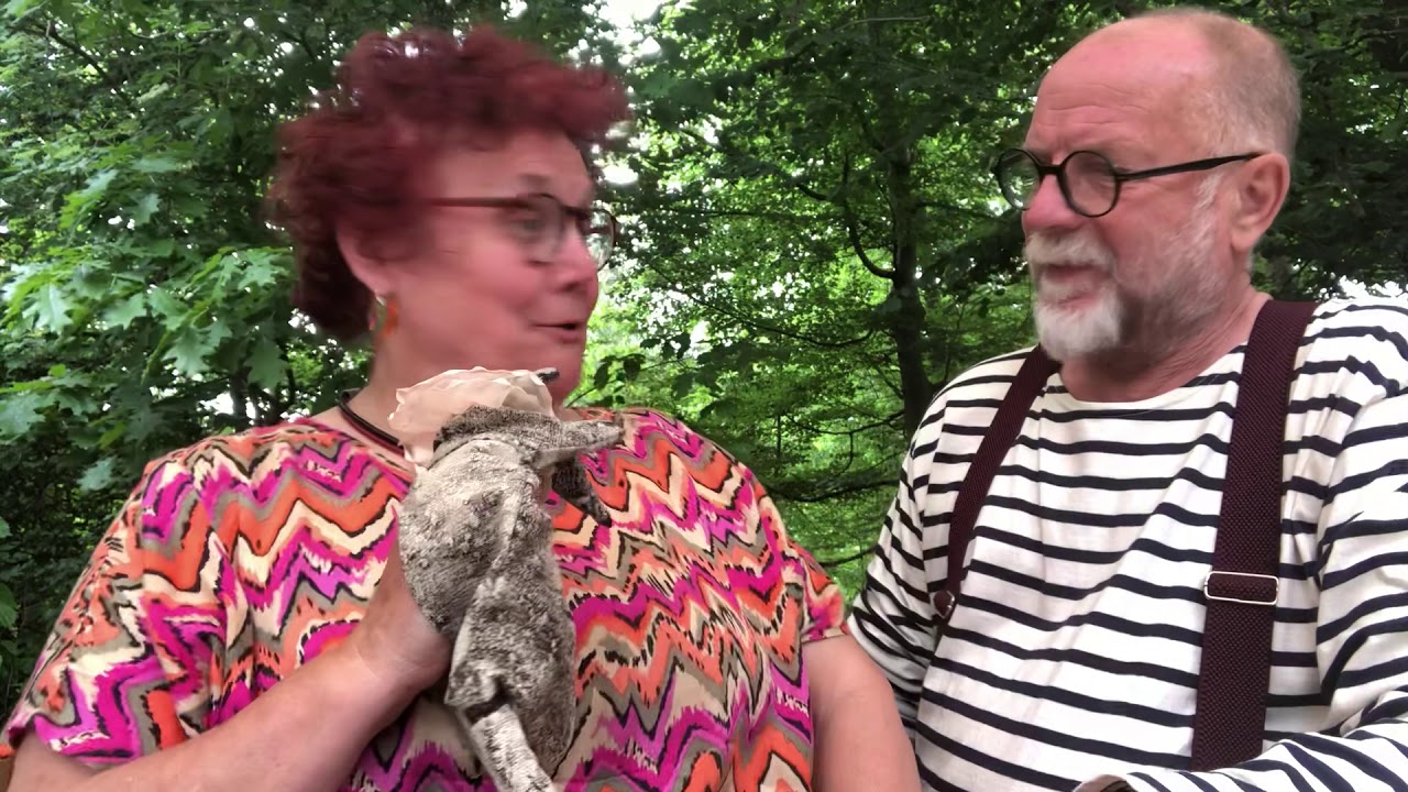 Moeder Muis - YouTube