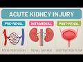Acute Kidney Injury (AKI) Explained | Pre-renal, Intrarenal &amp; Post-renal AKI