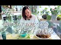 【ダラダラ喋る】植物のちまちま作業(Vlog/020)