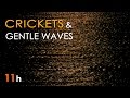 CRICKETS & SEA WAVES - Nature SOUNDS for SLEEPING - 11 Hours Long - Sleep Aid - Relaxing Ocean