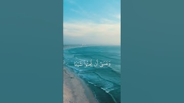 وعسى أن تكرهوا شيئا وهو خير لكم| القارئ محمد هشام💜 #تلاوة #قرآن #ترتيل