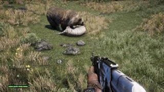 Far Cry® 4 Ghost bear Vs sky Tiger Pvp