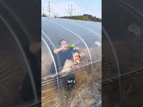The Funniest Escape Attempt Ever! 🤣🦆🚪