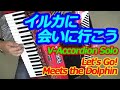 イルカに会いに行こう - Nori Nagasaka (V-Accordion)