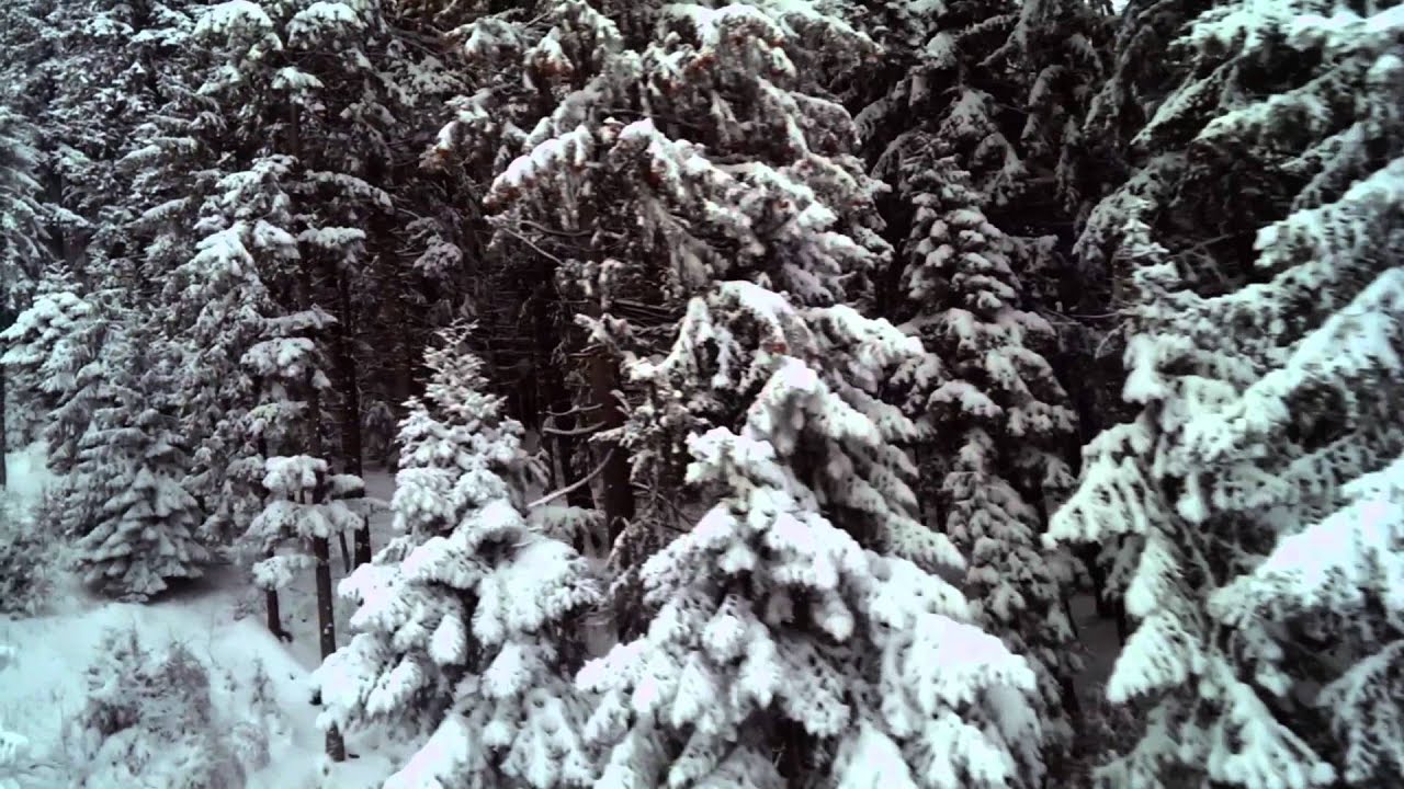 Pow Day Kalinderu camera iphone 8 plus apk