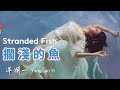 擱淺的魚 洋瀾一 Stranded Fish 今生究竟該不該相遇 緣份給出偽善的命題 愛如潮汐沒找到規律可覓 現實的疼痛不言而喻 動態歌詞 Pinyin Lyrics Eng Sub 擱淺的魚 洋瀾一 Stranded Fish 今生究竟該不該相遇 緣份給出偽善的命題 愛如潮汐沒找到規律可覓 現實的疼痛不言而喻 動態歌詞 Pinyin Lyrics Eng Sub