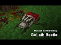Minecraft Modded Testing - Goliath Beetle