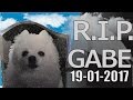 Never Gonna Give Your Bark (Rick Roll Gabe cover)