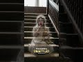 They say she never left the Stanley Hotel. #Paranormal #Haunted #shorts