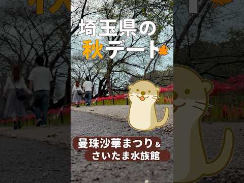 【埼玉県】恋人と行きたい秋デート♡曼珠沙華まつり＆水族館#shorts #デート #カップル