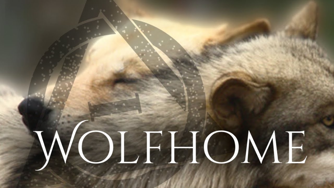 Watch Wolfhome - Emotional Wolf Therian Music | Fantasy Orchestral Adventure on YouTube Watch Wolfhome - Emotional Wolf Therian Music | Fantasy Orchestral Adventure on YouTube
