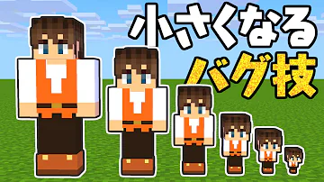 マイクラ 小さく なる 方法 スイッチ
