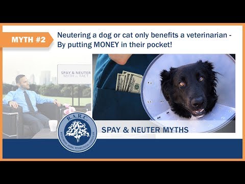 Vídeo: O que é o Seio Dermoide em Cães?
