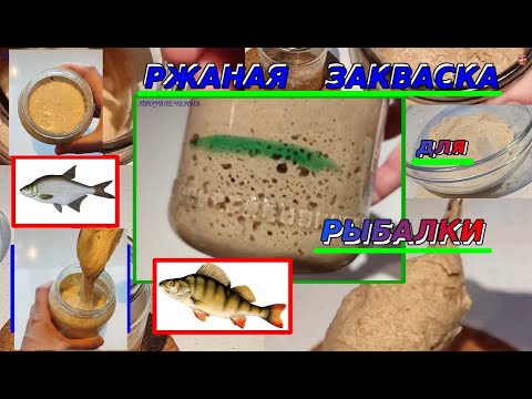 Ржаная закваска для рыбалки. Рецепт для подкормки.