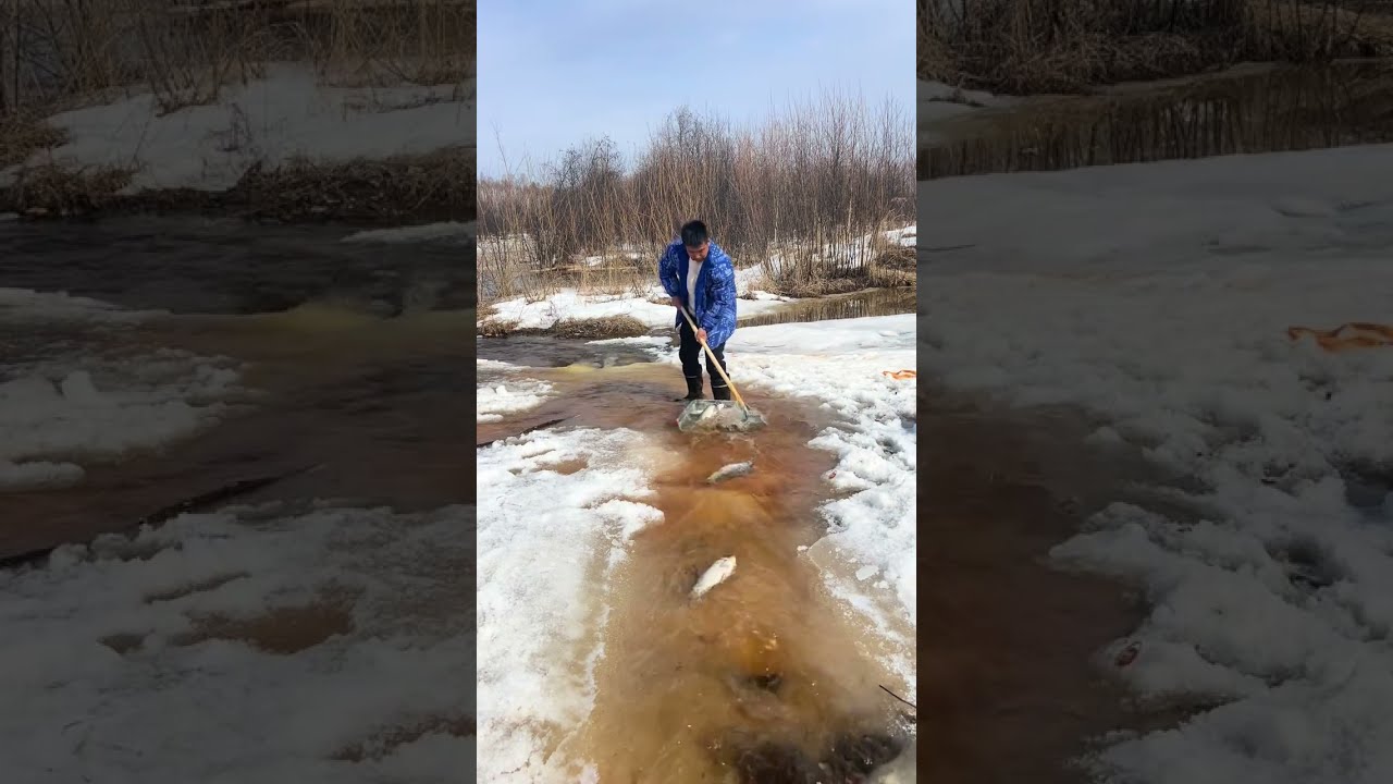 Fishing In Mohe The Northeast Joy Of Outdoor Wild Experiencex 418