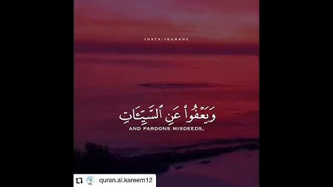 قرآن كريم ||وهو الذي يقبل التوبة عن عباده ||🌸💞