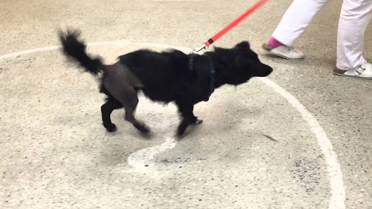 Fußmatte Tolles Geschenk für Oma und Opa Geschenk oma, Oma opa geschenk, Oma und opa