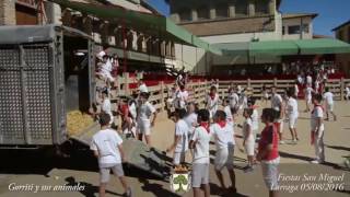 Gorriti y sus animales 05/08/2016 Fiestas San Miguel #Larraga #Navarra
