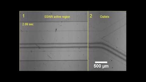Acoustofluidic coating of particles and cells
