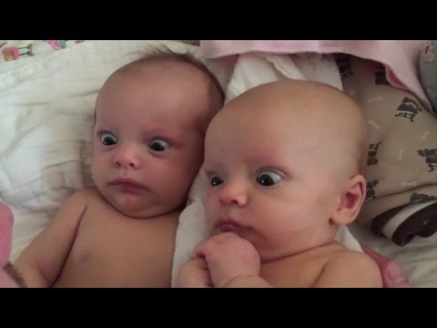 Video: Pogledajte ovaj smiješan video beba koji se svađa s kućnim ljubimcem
