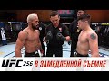 UFC 256: В замедленной съемке