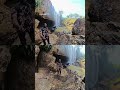 #cameroon #insta360 #insta360x5 #love enjoying this beutiful moment here in baffusam