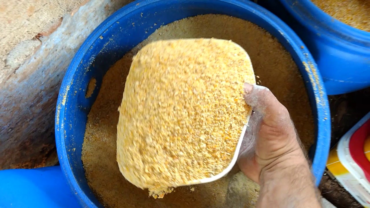 Ração para galinhas poedeiras a R$ 1.00/kg