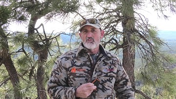 Gambel Quail Locator Call