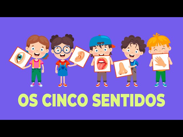 Descobrir os 5 Sentidos, Brinquedo Educativo para Crianças +4 Anos