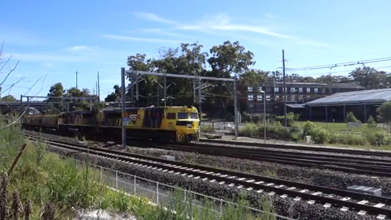 SSR102 / SSR101 with 1541 empty grain - 1/1/16